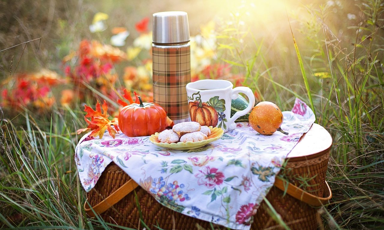 Sun shining on picnic basket with a few treats, thermos, cup and floral blanket in a field.