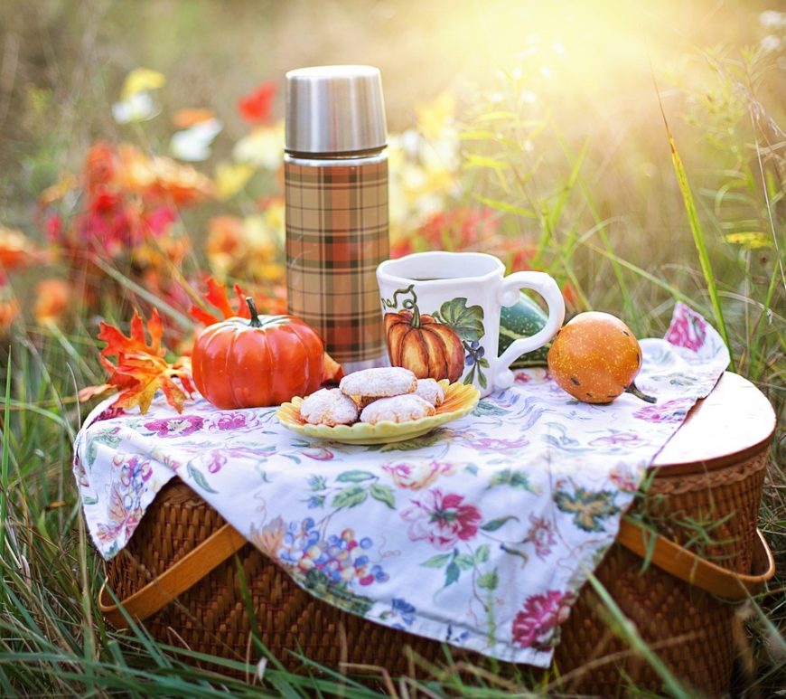 Sun shining on picnic basket with a few treats, thermos, cup and floral blanket in a field.