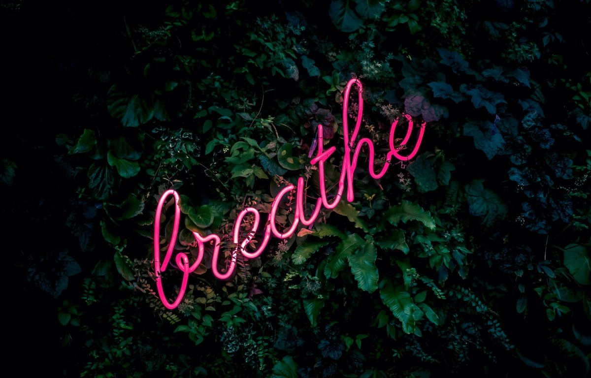 Green foliage background with pink neon sign in cursive with the word "breathe".