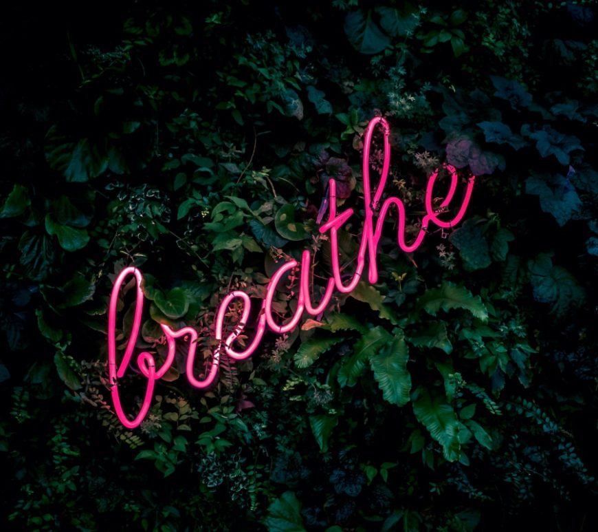 Green foliage background with pink neon sign in cursive with the word "breathe".
